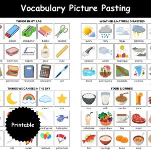Vocabulary Picture Pasting